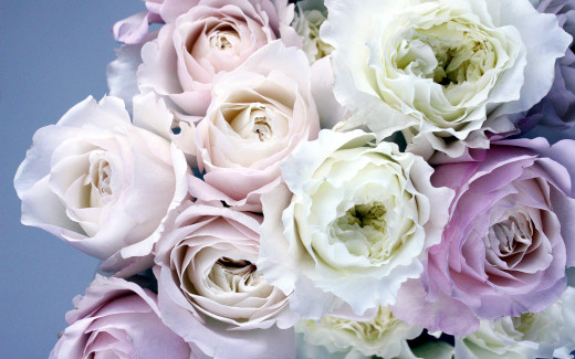1147911 (a): :2560x1600